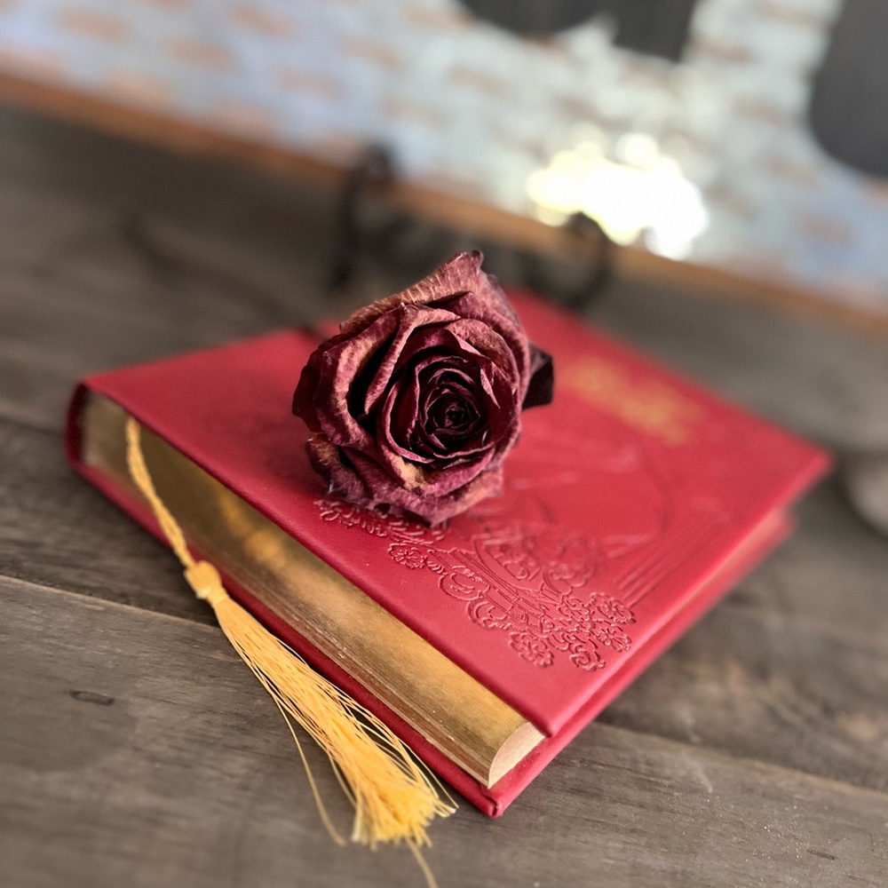 Disney Beauty And The Beast Hardcover Journal - image 3